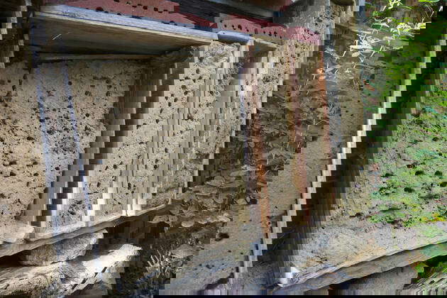 Lehm Sand Gemisch Wildbienen Fotos IMAGO