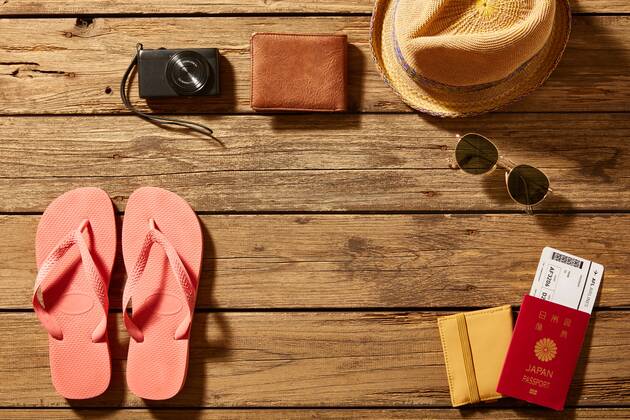 Travel accessories 125548798 (125548798)