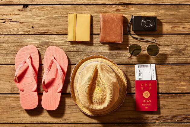 Travel accessories 125548799 (125548799)