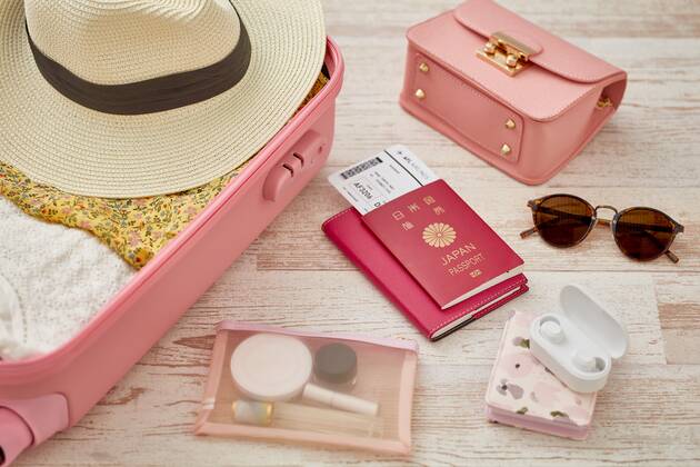 Travel accessories 125548807 (125548807)