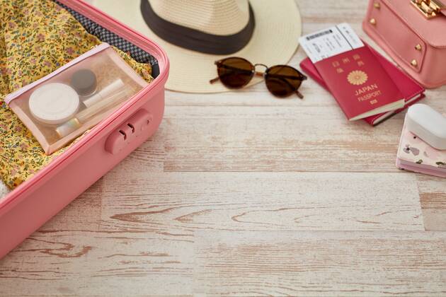 Travel accessories 125548809 (125548809)