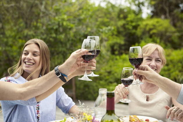 Happy family toasting wine glasses Copyright: DinocoxGreco B79995133