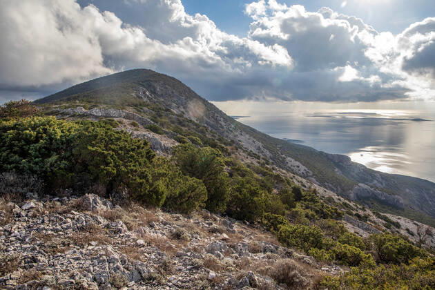 PXL_Osorscica mountain Photo taken on Jan. 12, 2021 show Osorscica mountain , Losinj Island, Croatia. Osorscica mountain spreads along the northern part of the island of Losinj from Cunski to Osor, and it is about 20 kilometres long. It is the first mountain on the islands of Adriatic to have attracted visitors, heir to the Austro-Hungarian throne Rudolf Habsburg was surely one of the first, having climbed Osorscica in 1887. Osorscica is well-known for many caves and the most famous are St. Gaudentius cave, located below the peak Televrina on the eastern side, and Vela Jama on the western side of Televrina. It is about 40 metres deep and remains of people were found here from about 10.000 years ago. SreckoxNiketic PIXSELL