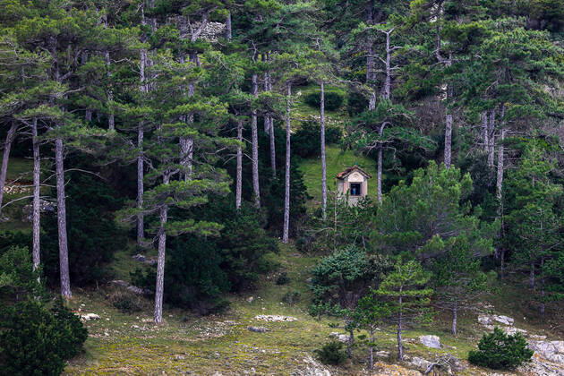 PXL_Osorscica mountain Photo taken on Jan. 12, 2021 show Osorscica mountain , Losinj Island, Croatia. Osorscica mountain spreads along the northern part of the island of Losinj from Cunski to Osor, and it is about 20 kilometres long. It is the first mountain on the islands of Adriatic to have attracted visitors, heir to the Austro-Hungarian throne Rudolf Habsburg was surely one of the first, having climbed Osorscica in 1887. Osorscica is well-known for many caves and the most famous are St. Gaudentius cave, located below the peak Televrina on the eastern side, and Vela Jama on the western side of Televrina. It is about 40 metres deep and remains of people were found here from about 10.000 years ago. SreckoxNiketic PIXSELL