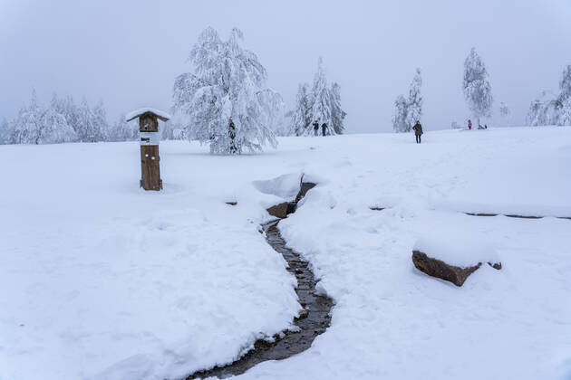 Quelle des Fluss Lenne, Winter im Sauerland, Hochsauerlandkreis, am Kahler Asten, bei Winterberg, wenige Touristen, Besucher, während des Lockdowns im Januar 2021, NRW, Deutschland Winter Sauerland