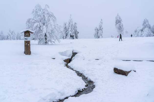 Quelle des Fluss Lenne, Winter im Sauerland, Hochsauerlandkreis, am Kahler Asten, bei Winterberg, wenige Touristen, Besucher, während des Lockdowns im Januar 2021, NRW, Deutschland Winter Sauerland