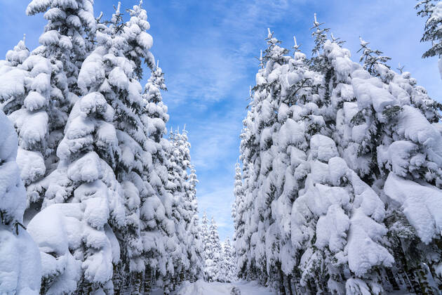 Winter im Sauerland, Hochsauerlandkreis, am Kahler Asten, bei Winterberg, wenige Touristen, Besucher, während des Lockdowns im Januar 2021, NRW, Deutschland Winter Sauerland