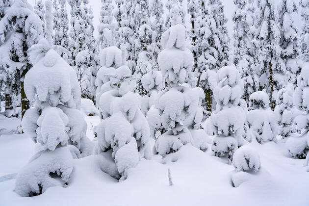 Winter im Sauerland, Hochsauerlandkreis, am Kahler Asten, bei Winterberg, wenige Touristen, Besucher, während des Lockdowns im Januar 2021, NRW, Deutschland Winter Sauerland
