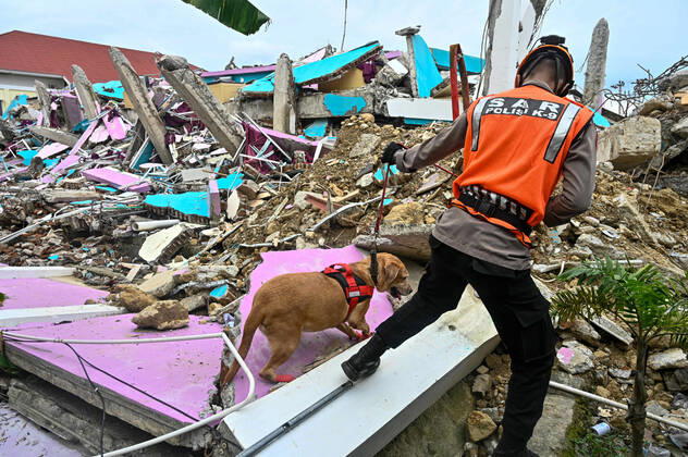 Bilder des Jahres 2021, News 01 Januar News Themen der Woche KW02 News Bilder des Tages January 17, 2021, Mamuju, West sulawesi, Indonesia: An Indonesian K9 police unit searches for victims following a earthquake in Mamuju Indonesia on Sunday, January 17, 2021. Following the 6.2 magnitude earthquake which hit early on January 15 and killed at least 56 people, hundreds were injured and thousands of residents had evacuate. Mamuju Indonesia - ZUMAh421 20210117_zip_h421_008 Copyright: xHariandixHafidx