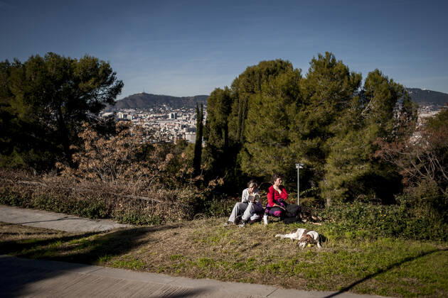 January 17, 2021, Barcelona, Catalonia, Spain: On this sunny Sunday women and a dog relax at Montjuic hill with Barcelona city in the background, imposed municipal lockdown to fight the spread of the coronavirus third wave in the Catalan region bans people leaving it s own city or town limits. Barcelona Spain - ZUMAb137 20210117_zap_b137_001 Copyright: xJordixBoixareux