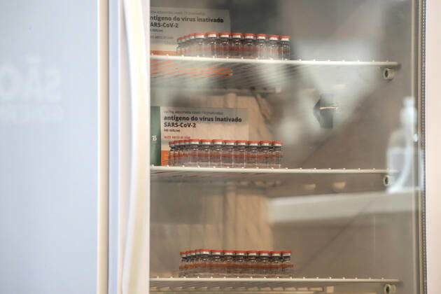 (210117) -- SAO PAULO (BRAZIL), Jan. 17, 2021 -- Vials of the COVID-19 vaccines are seen inside a cooler in Sao Paulo, Brazil, on Jan. 17, 2021. Brazilian nurse Monica Calazans became the first Brazilian to be vaccinated against the novel coronavirus on Sunday after Brazilian health authorities approved the emergency use of the vaccines. Brazil s Health Regulatory Agency (Anvisa) unanimously approved on Sunday the emergency use of the CoronaVac vaccine, from the Chinese laboratory Sinovac, as well as the AstraZeneca-University of Oxford vaccine against COVID-19. ) BRAZIL-SAO PAULO-COVID-19-VACCINE RahelxPatrasso 