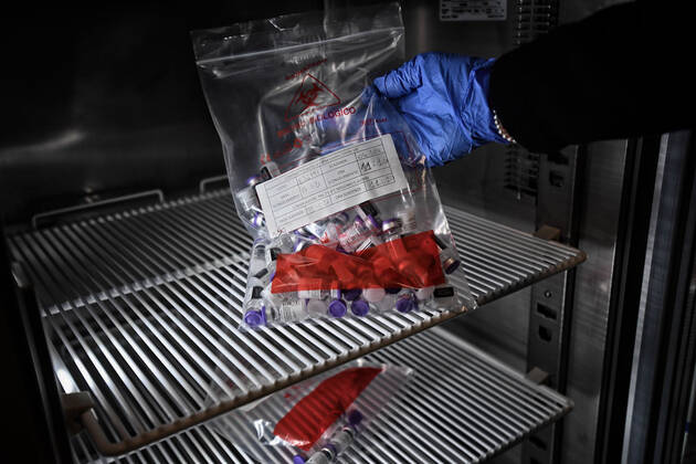 Rome, Spallanzani Intensive Care Hospital, High Containment Department. In the photo: the Pfizer-BioNTech Covid-19 vaccine in the department s refrigerators.  Copyright: xRomax xIPAx xRomax
