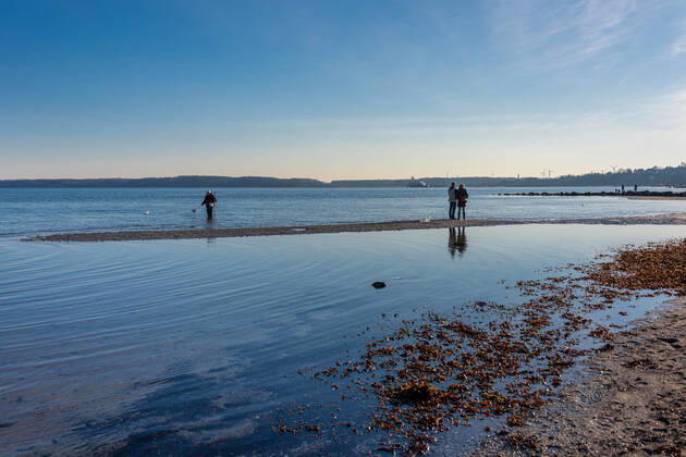Impressionen aus Schleswig-Holstein - Eckernförde, selbst im Winter lohnt sich ein Strandspaziergang am langen Stadtstrand der Touristenmetropole, man genießt die tiefstehende Wintersonne