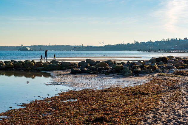 Impressionen aus Schleswig-Holstein - Eckernförde, selbst im Winter lohnt sich ein Strandspaziergang am langen Stadtstrand der Touristenmetropole, man genießt die tiefstehende Wintersonne