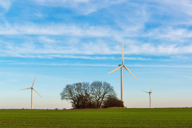 Impressionen aus Schleswig-Holstein - Getreidefeld mit Windkraftanlagen im Winter kurz vor Sonnenuntergang in Schleswig-Holstein