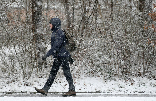 Winter wetter mit Schnee , a men walks under the snow during the Hard Lockdown of the Covid 19 Coronavirus Pandemie in Nuremberg Nurnberg , Bayern , Deutschland . January 24 , 2021.