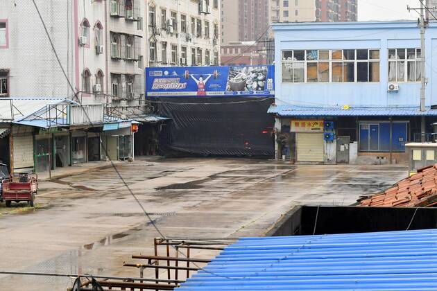 WHO probe into coronavirus origins in Wuhan The Huanan seafood wholesale market is pictured in Wuhan, China, on Jan. 31, 2021. The World Health Organization s investigation into the origins of the coronavirus pandemic is under way in the city. 