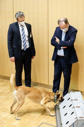 News Bilder des Tages DEUTSCHLAND, NIEDERSACHSEN, HANNOVER, 03.02.2021 - Vorführung von Corona-Spürhunden zum Besuch des Niedersächsischen Ministerpräsidenten - Stiftung Tierärztliche Hochschule Hannover - v.li. Prof. Dr. Holger Volk (Leiter der Klinik für Kleintiere an der TiHo) und Stephan Weil (SPD), Ministerpräsident von Niedersachsen. Beide schauen einem Belgischen Schäferhund zu, wie er an einer Teststation die Corona-Proben erschnüffelt. Weil informiert sich bei seinem Besuch im Klinikum am Bünteweg der Stiftung Tierärztliche Hochschule Hannover, über die Möglichkeiten zum Einsatz von Spürhunden in der Corona-Pandemie, um infizierte Personen zu erkennen. Dieses Forschungsprojekt geschieht unter Beteiligung der Bundeswehr.