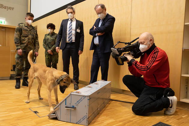 Niedersachsen, Hannover, 03.02.2021, Ministerpräsident Stephan Weil (SPD) informierte sich an der Tierärztlichen Hochschule (TiHo) über das Projekt «Corona-Spürhunde». Die Hunde sind in der Lage Speichelproben von SARS-CoV-2-infizierter Menschen zu erkennen und könnten in Zukunft bei Veranstaltungen eingesetzt werden. Spürhund, Bundeswehr, Coronavirus, Covid-19, Der belgische Schäferhund Filou schnüffelt in der Tierärztlichen Hochschule (TiHo) an einer Trainingsmaschine für Corona Spürhunde. Dahinter stehen Pascal Baum (l-r) und Esther Schalke von der Schule für Diensthundewesen der Bundeswehr, Holger Volk, Direktor der Kleintierklinik und Niedersachsens Ministerpräsident Stephan Weil,