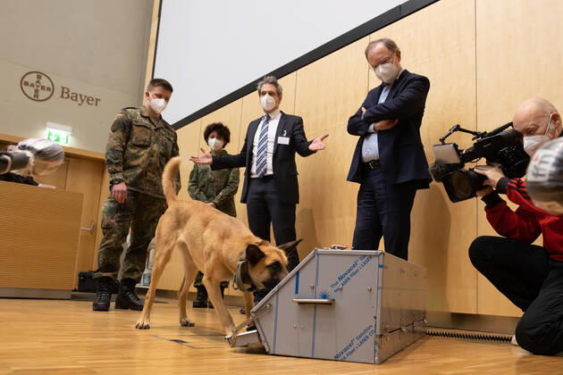 News Bilder des Tages Niedersachsen, Hannover, 03.02.2021, Ministerpräsident Stephan Weil (SPD) informierte sich an der Tierärztlichen Hochschule (TiHo) über das Projekt «Corona-Spürhunde». Die Hunde sind in der Lage Speichelproben von SARS-CoV-2-infizierter Menschen zu erkennen und könnten in Zukunft bei Veranstaltungen eingesetzt werden. Spürhund, Bundeswehr, Coronavirus, Covid-19, Der belgische Schäferhund Filou schnüffelt in der Tierärztlichen Hochschule (TiHo) an einer Trainingsmaschine für Corona Spürhunde. Dahinter stehen Pascal Baum (l-r) und Esther Schalke von der Schule für Diensthundewesen der Bundeswehr, Holger Volk, Direktor der Kleintierklinik und Niedersachsens Ministerpräsident Stephan Weil,