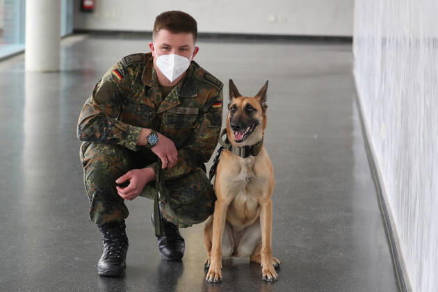 Niedersachsen, Hannover, 03.02.2021, Ministerpräsident Stephan Weil (SPD) informierte sich an der Tierärztlichen Hochschule (TiHo) über das Projekt Â«Corona-SpürhundeÂ». Die Hunde sind in der Lage Speichelproben von SARS-CoV-2-infizierter Menschen zu erkennen und könnten in Zukunft bei Veranstaltungen eingesetzt werden. Spürhund, Bundeswehr, Coronavirus, Covid-19, Bundeswehr Soldat Pascal Baum mit seinem belgischen Schäferhund Filou,