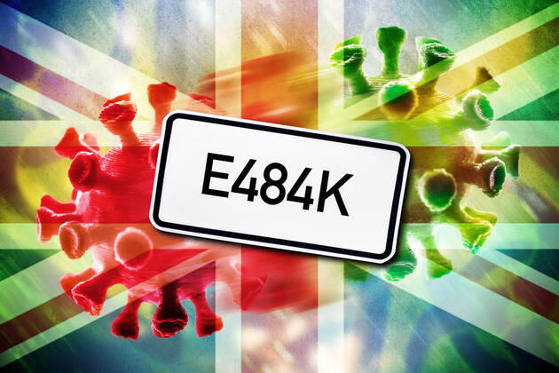 FOTOMONTAGE, Mutierender Coronavirus, britische Variante E484K