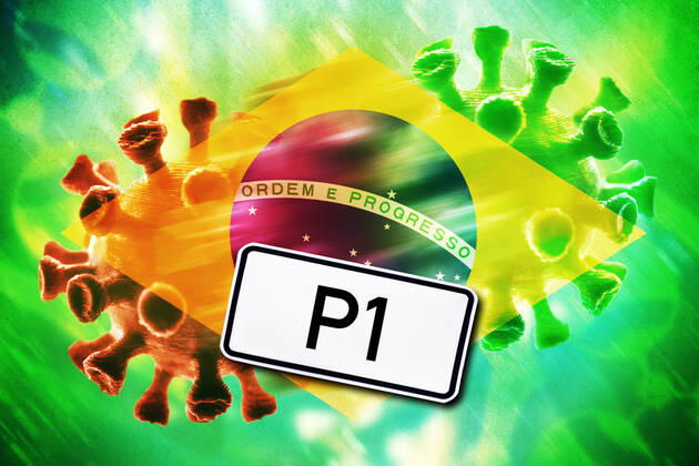 FOTOMONTAGE, Mutierender Coronavirus, Symbolfoto brasilianische Variante P1