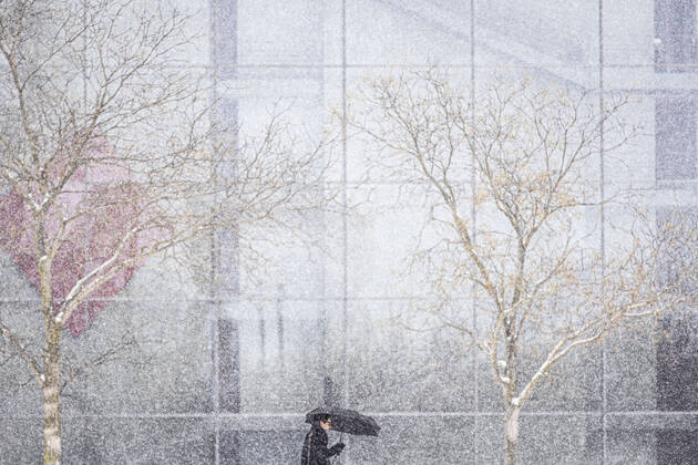 Ein Mann mit Regenschirm, aufgenommen waehrend starken Schneefalls in Berlin, 08.02.2021. In der nordlichen Haelfte Deutschlands gibt es teils unwetterartige Schneefaelle und zweistellige Minusgrade. Berlin Deutschland