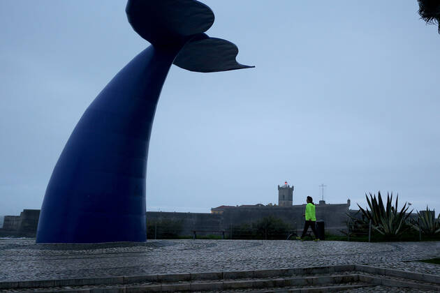 February 11, 2021, Lisbon, Portugal: A man wearing a face mask walks by a giant whale tail in Oeiras, near Lisbon, Portugal on February 11, 2021. Portugal extended on Thursday a nationwide lockdown until at least March 1 to tackle its worst surge of COVID-19 infections since the pandemic began, but Prime Minister Antonio Costa warned the strict rules were likely to stay in place for longer. Lisbon Portugal - ZUMAf123 20210211_zap_f123_004 Copyright: xPedroxFiuzax