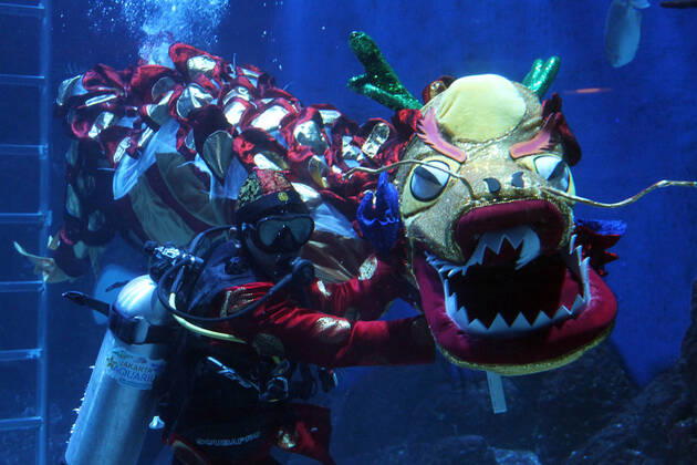 February 12, 2021, Jakarta, Jakarta, Indonesia: The Liong Show Underwater attraction with mermaids played by safety divers and free divers enlivened in celebration of Chinese New Year 2572 at the Jakarta Aquarium and Safari at the Neo Soho mall, Jakarta, on February 12,2021. The show was in order to enliven Chinese New Year and as a means of recreation for children and families where there was a concession from the government during the COVID-19 pandemic by implementing strict health protocols. Jakarta Indonesia - ZUMAr173 20210212_zip_r173_002 Copyright: xDasrilxRoszandix