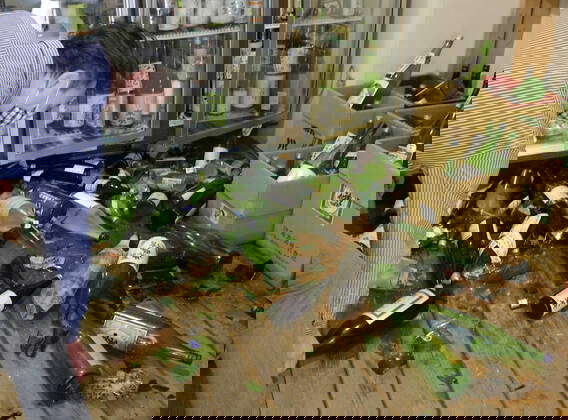 Kaputte Flasche Fotos Imago