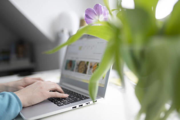 Female entrepreneur using laptop by tulip plant at table in home office model released Symbolfoto property released CHPF00744