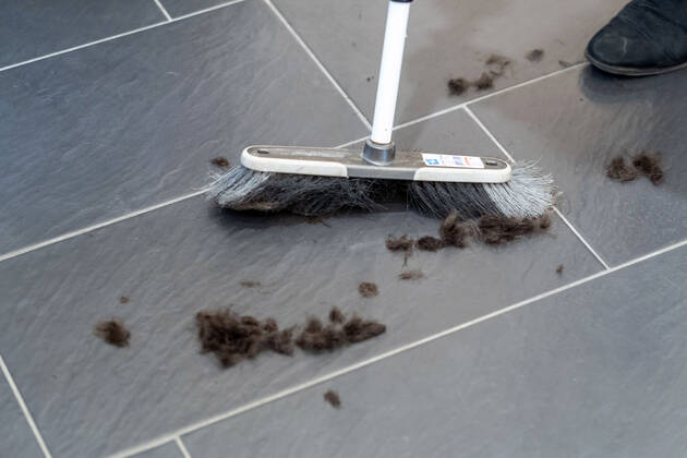 01.03.2021,Berlin,Deutschland,GER,ab heute dürfen bundesweit die Friseure wieder ihre Geschäfte öffnen.Foto: Haare und ein Besen.