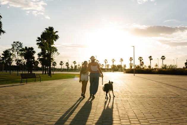IMAGO Creative: Sommer, Abendspaziergang Back view of woman embracing teenage girl while walking with Border Collie dog along pathway in park on background of sundown sky in summer, Model released Copyright: xMiguelxVallsx MR