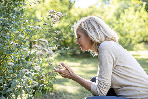 IMAGO Creative: Internationaler Frauenmonat, Gesundheit, Frauen in der Menopause Smiling mature woman looking at flowers in backyard Copyright: GabrielxSanchez B98906444