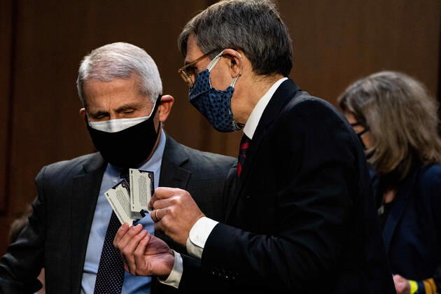 Coronavirus in den USA, Senatsanhörung in Washington Dr. Peter Marks, Director of the Center for Biologics Evaluation and Research within the Food and Drug Administration shows Washington Nationals baseball cards with the likeness of Dr. Anthony Fauci, Director at the National Institute Of Allergy and Infectious Diseases, at the start of a hearing with the Senate Committee on Health, Education, Labor, and Pensions on the Covid-19 response on Capitol Hill in Washington March 18th, 2021. Pool  WAX20210318904 AnnaxMoneymaker