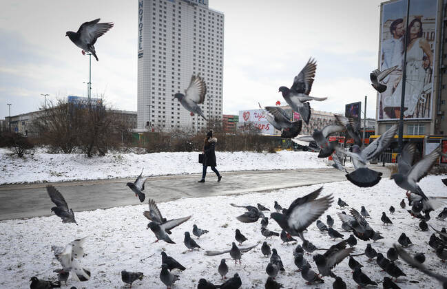 (210320) -- WARSAW, March 20, 2021 -- A woman wearing a face mask walks past some pigeons in central Warsaw, Poland, on March 20, 2021. The government of Poland announced a new nationwide partial lockdown on Friday after the cumulative number of COVID-19 cases since the start of the pandemic exceeded two million in the country. Starting on Saturday, only a select number of shops -- among them supermarkets and pharmacies -- located in shopping malls with over 2,000 square meters of retail space are allowed to operate. Cinemas, theaters and museums will have to remain closed, and schools will return to online learning. (Photo by Xinhua) POLAND-WARSAW-COVID-19-PARTIAL LOCKDOWN JaapxArriens 