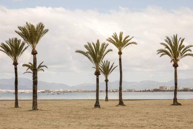 March 21, 2021, S Arenal, Mallorca, Spain: On a cold Sunday on the beach of S Arenal with palm trees and little boats in front of the skyline of Palma de Mallorca and Playa de Palma in Mallorca. S Arenal Spain - ZUMAm210 20210321_ztp_m210_002 Copyright: xJohn-PatrickxMorarescux