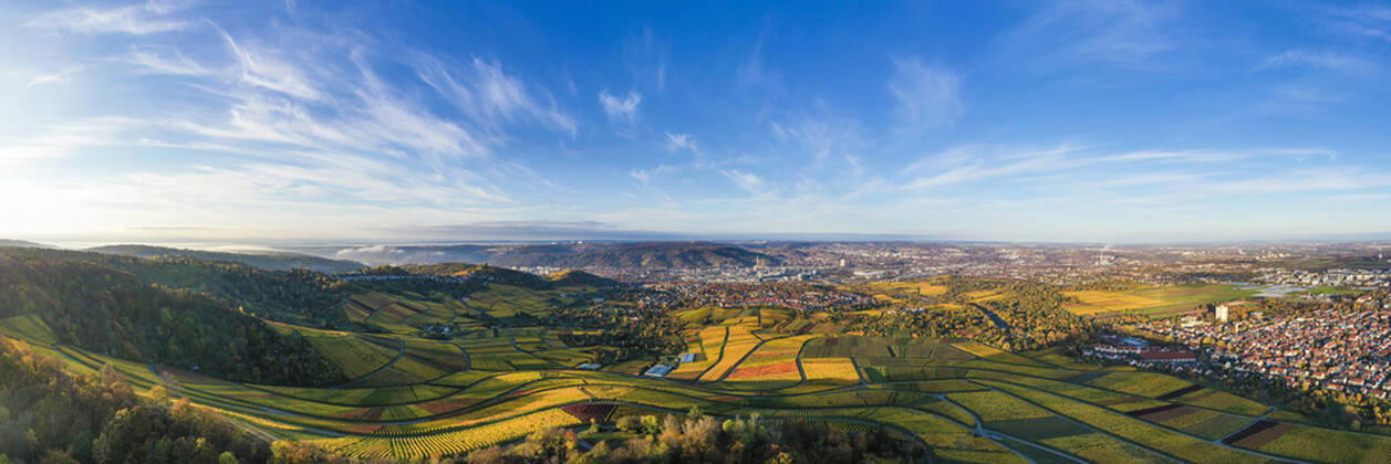 Germany, Baden Wurttemberg, Stuttgart, Aerial view of vineyards in autumn WDF06548