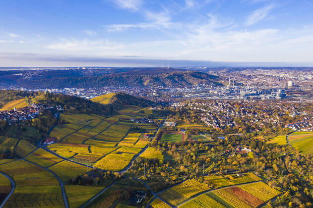 Germany, Baden Wurttemberg, Stuttgart, Aerial view of vineyards in autumn WDF06549