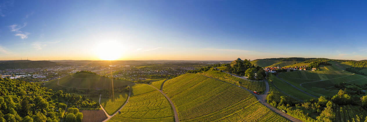 Germany, Baden Wurttemberg, Stuttgart, Aerial view of vineyards at sunset in autumn WDF06551