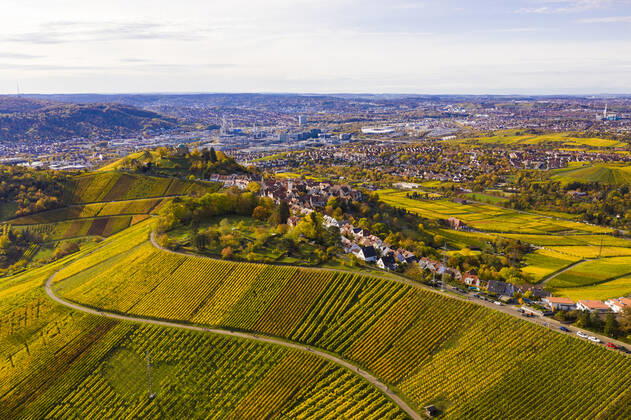 Germany, Baden Wurttemberg, Stuttgart, Aerial view of vineyards just outside city in autumn WDF06552