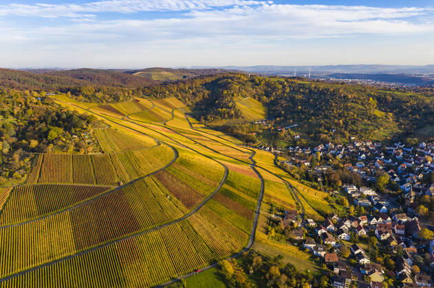 Germany, Baden Wurttemberg, Stuttgart, Aerial view of vineyards in autumn WDF06553