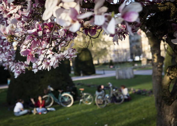 Coronavirus in Frankreich, Eindrücke aus Straßburg Vue de la cathedrale de Strasbourg depuis la place Republique Magnolias et printemps NEWS : Illustration Printemps Strasbourg - 30 03 2021 ElyxandroCEGARRA PANORAMIC 