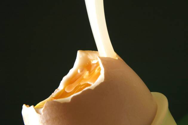 weich gekochtes Fruehstuecksei mit Eierloeffel in einem Eierbecher soft-boiled breakfast egg with an egg spoon in an egg cup BLWS641030