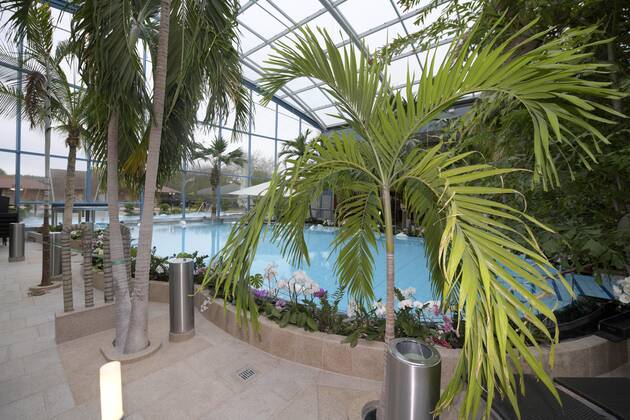 18.05.2021, Bad Wörishofen, 300 Tage im Corona-Lockdown, die Therme in Bad Wörishofen nutzt die Zeit ohne Gäste um umfangreiche Renovierungen und Neubauten zu realisieren. Geschäftsführer Jörg Wund hofft auf bald sinkende Infektionszahlen um Aussicht auf Wiedereröffnung zu haben. Die Therme musste bisher einen Umsatzrückgang von 12 Millionen Euro verkraften. Hier der Saunabereich mit den Palmen und Orchideen am Beckenrand. 18.05.2021, Bad Wörishofen Therme 300 Tage im Lockdown 18.05.2021, Bad Wörishofen Therme 300 Tage im Lockdown