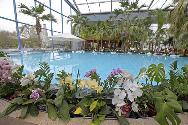 18.05.2021, Bad Wörishofen, 300 Tage im Corona-Lockdown, die Therme in Bad Wörishofen nutzt die Zeit ohne Gäste um umfangreiche Renovierungen und Neubauten zu realisieren. Geschäftsführer Jörg Wund hofft auf bald sinkende Infektionszahlen um Aussicht auf Wiedereröffnung zu haben. Die Therme musste bisher einen Umsatzrückgang von 12 Millionen Euro verkraften. Hier der Saunabereich mit den Palmen und Orchideen am Beckenrand. 18.05.2021, Bad Wörishofen Therme 300 Tage im Lockdown 18.05.2021, Bad Wörishofen Therme 300 Tage im Lockdown