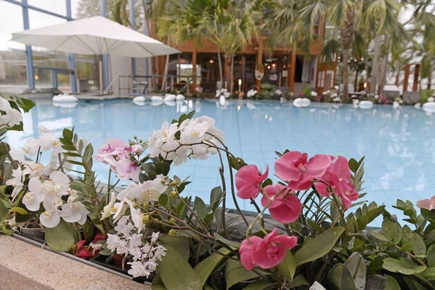 18.05.2021, Bad Wörishofen, 300 Tage im Corona-Lockdown, die Therme in Bad Wörishofen nutzt die Zeit ohne Gäste um umfangreiche Renovierungen und Neubauten zu realisieren. Geschäftsführer Jörg Wund hofft auf bald sinkende Infektionszahlen um Aussicht auf Wiedereröffnung zu haben. Die Therme musste bisher einen Umsatzrückgang von 12 Millionen Euro verkraften. Hier der Saunabereich mit den Palmen und Orchideen am Beckenrand 18.05.2021, Bad Wörishofen Therme 300 Tage im Lockdown 18.05.2021, Bad Wörishofen Therme 300 Tage im Lockdown