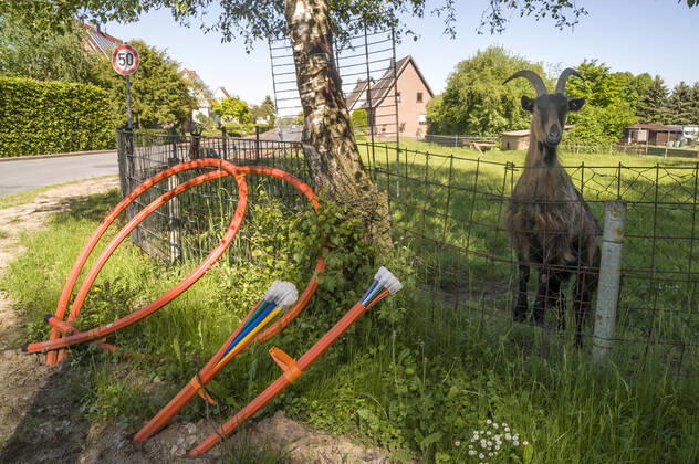 Glasfaserausbau auf dem Land Glasfaser Glasfaserausbau auf dem Land ländliche Region ländliches Gebiet Telekom Breitband Breitbandausbau Breitband-Ausbau Glasfasernetz Glasfaser-Netz FTTH-Netz Internet Glasfaserverkabelung Glasfaser-Ausbau FTTH Anschluss Digitalisierung Telekommunikation Internet Infrastruktur Deutsche Glasfaser Ziege 20210531ad331 Wadersloh Nordrhein-Westfalen NRW Deutschland Germany Copyright: xAchimxDuwentästerx