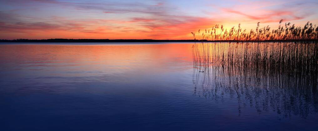See mit Schilf bei Sonnenuntergang, Plauer See, Mecklenburg-Vorpommern, Deutschland, Europa Copyright: imageBROKER/AVTG ibxkcv04889027